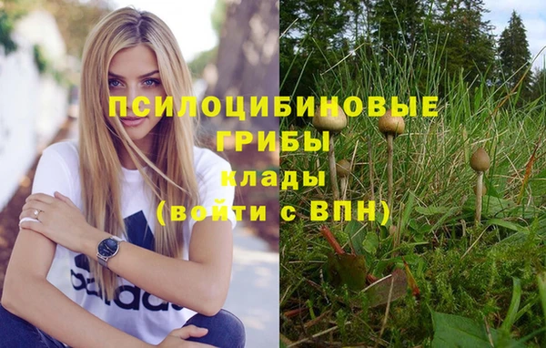 ALPHA PVP Абинск