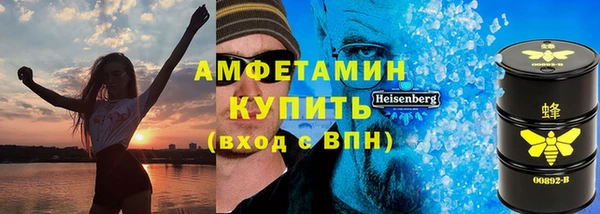 шишки Бердск
