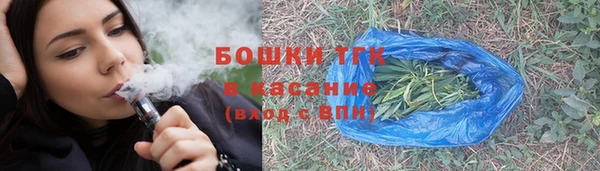 молекула духа Алексеевка
